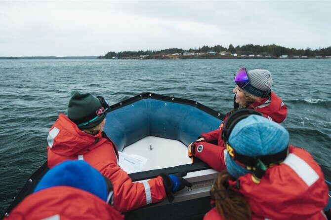 Sea Prince Rupert City and Harbour Shared Zodiac Tour - Value and logistics: price, timing, and why the small group matters