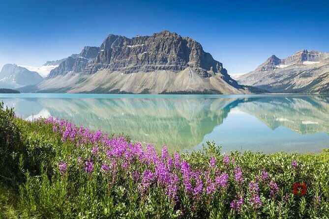 Self-Guided Audio Driving Tour in Icefields Parkway - Stop by Stop: Icefields Parkway Highlights That Match Real Time