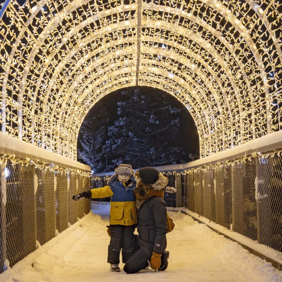 Sentier des cimes Laurentides: Treetop Observatory & Walk - Key things to know before you go