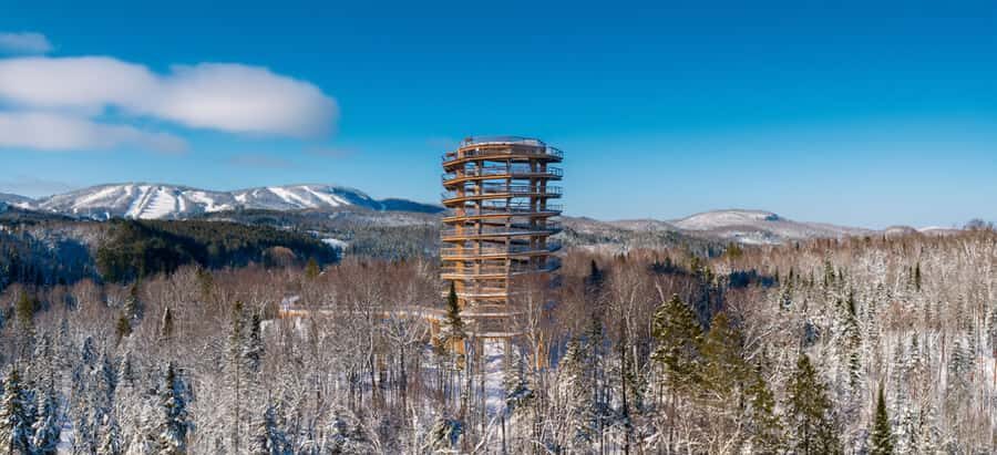 Sentier des cimes Laurentides: Treetop Observatory & Walk - Entering the Laurentian treetops via a 40 m tower