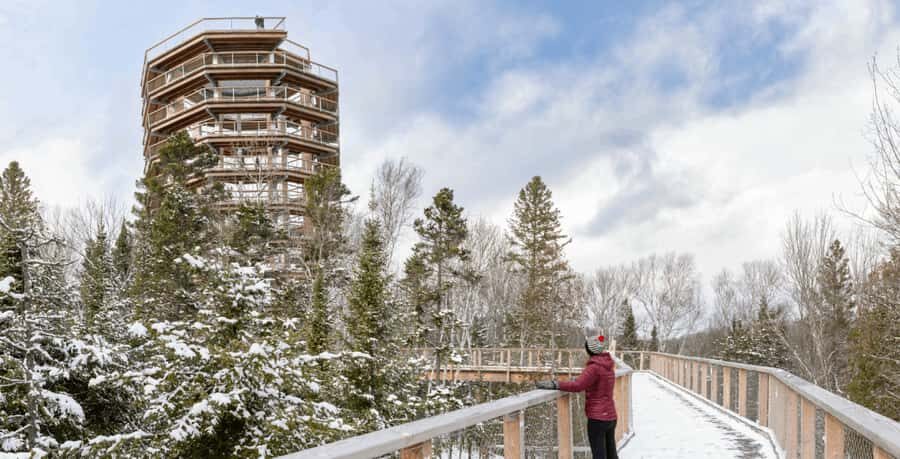 Sentier des cimes Laurentides: Treetop Observatory & Walk - The walk feels easy because it’s designed with a gentle grade