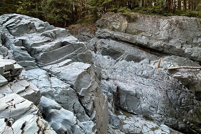 Shannon fall, Quercus Point and Squamish city Private tour - The guide factor: why pickup coordination can make-or-break a day
