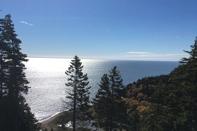 Shore Tours - Bay of Fundy time: sea caves, covered bridges, trails, and the Scenic Way