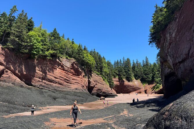 Shore Tours Saint John - Key highlights you should not skip