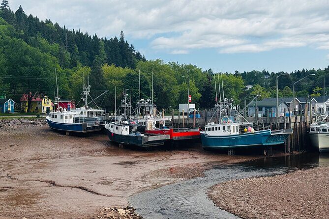 Shore Tours Saint John - Fort Howe National Historic Site: the harbor viewpoint payoff