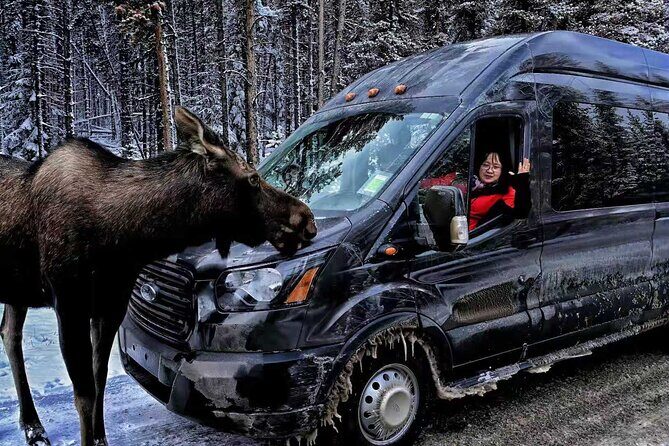 Shuttle from Banff or Canmore to Moraine Lake and Lake Louise - Key things to know before you go