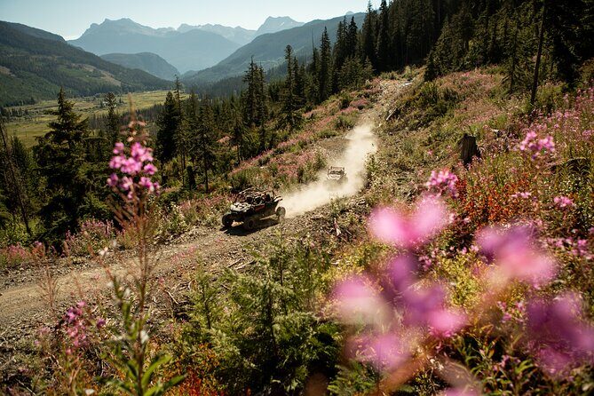 Side-by-Side Off-Roading Adventures on Cougar Mountain - The RZR Ride: Forest Trails, Hills, Puddles, and View Stops