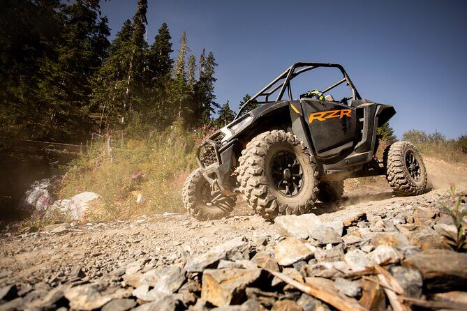 Side-by-Side Off-Roading Adventures on Cougar Mountain - Timing That Helps: Short Tour, Big Takeaways