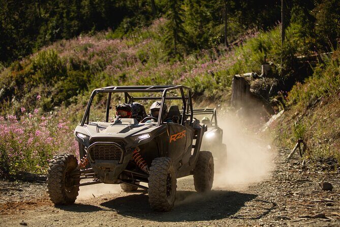 Side-by-Side Off-Roading Adventures on Cougar Mountain - Pick the Right Tour Level: Novice-Friendly to Intermediate Fun