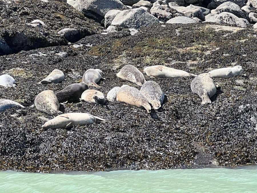 Skagway: Ocean Raft Adventure Along Scenic Coastline - Price and Value: What $169 Buys You in Skagway