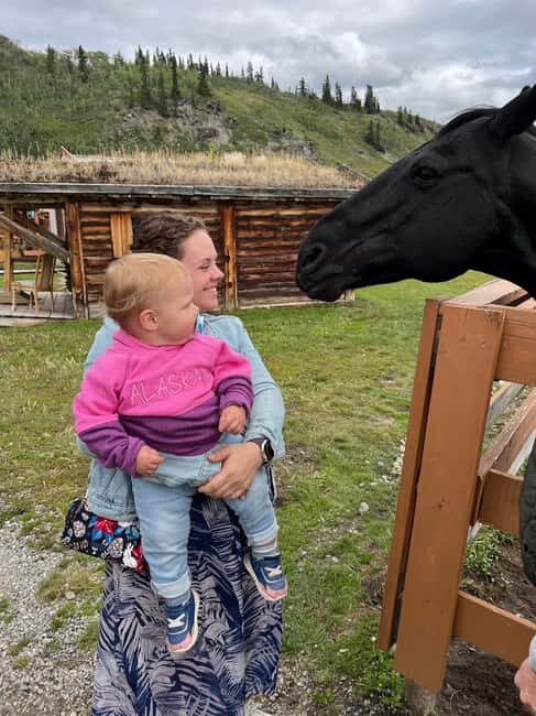 Skagway: Yukon Discovery Tour - Key Highlights That Matter