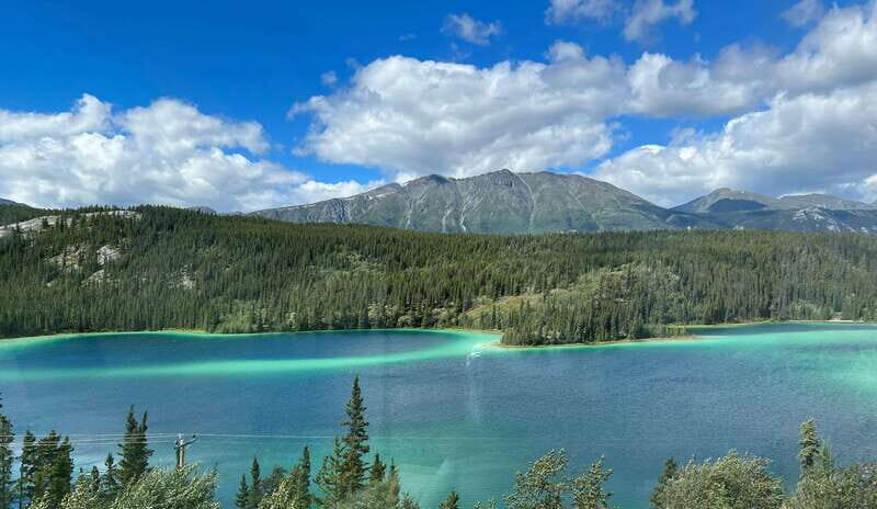 Skagway: Yukon Dog Mushing & Sightseeing Tour - Yukon Dog Mushing from Skagway: what makes it different