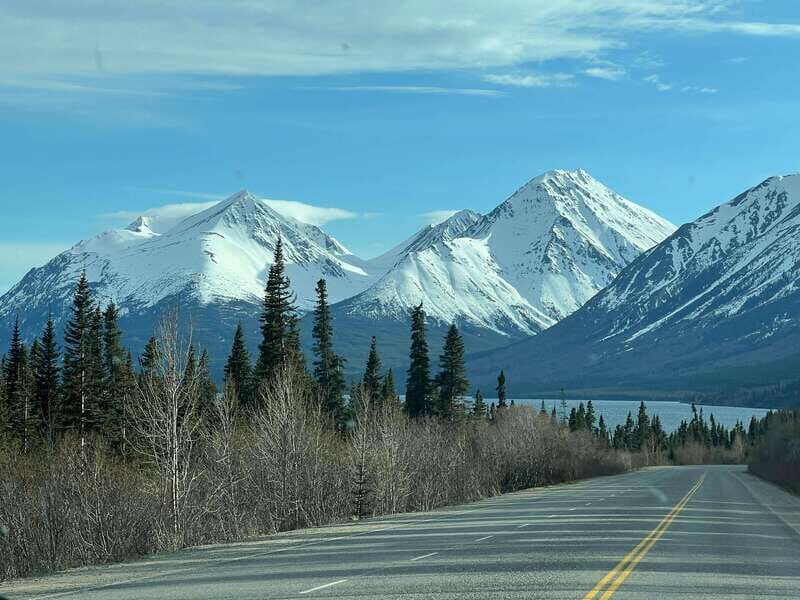 Skagway: Yukon Dog Mushing & Sightseeing Tour - Where to meet at 216 Broadway (and how to stay calm)