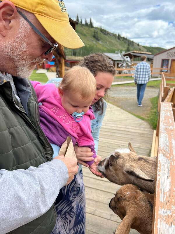 Skagway: Yukon Dog Mushing & Sightseeing Tour - Price and timing: is $208 for 6 hours good value?