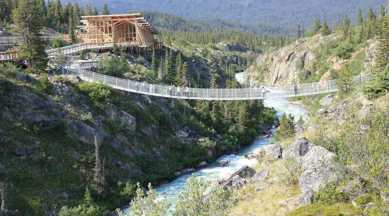 Skagway: Yukon Suspension Bridge & Summit Tour - White Pass Summit: your best chance for big, framed views