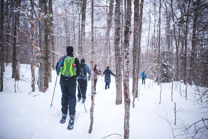Skiing (Hok Ski) Excursion in Jacques-Cartier National Park - Quick hits before you go