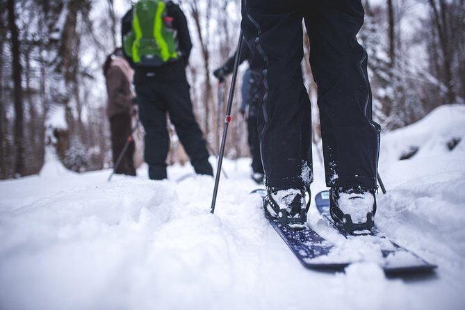 Skiing (Hok Ski) Excursion in Jacques-Cartier National Park - Price and what you actually get for the money