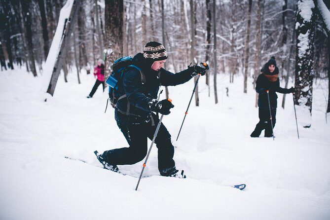 Skiing (Hok Ski) Excursion in Jacques-Cartier National Park - Lunch and the pacing: half day, full feeling