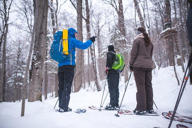 Skiing (Hok Ski) Excursion in Jacques-Cartier National Park - Getting there from Québec City: timing that keeps the day feeling tight
