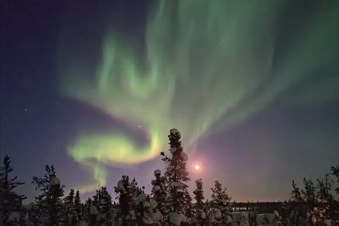 Skydome Aurora Viewing - Price and value: why $93.38 can be a fair deal