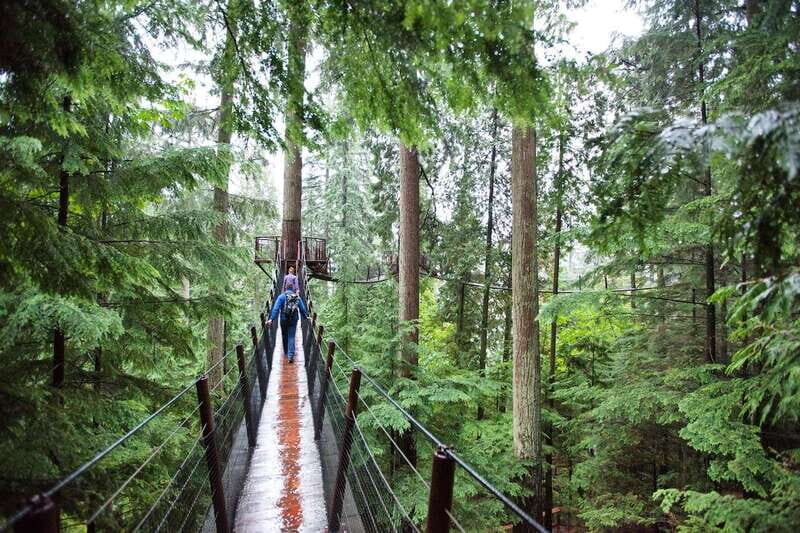 Small group tour of Capilano Bridge & Grouse Mountain - Hotel Pickup in Vancouver: Less Stress, More Day