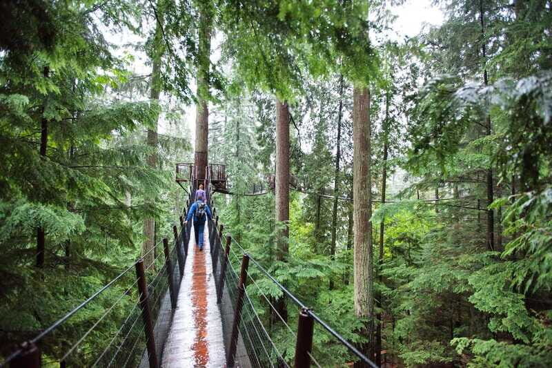 Small group tour of Capilano Bridge & Grouse Mountain - Food, Water, and Practical Stuff You Should Know