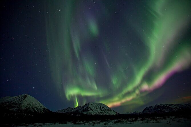 Small Group Yukon Aurora Viewing - Small-Group Yukon Aurora Viewing: What the 4 Hours Really Includes