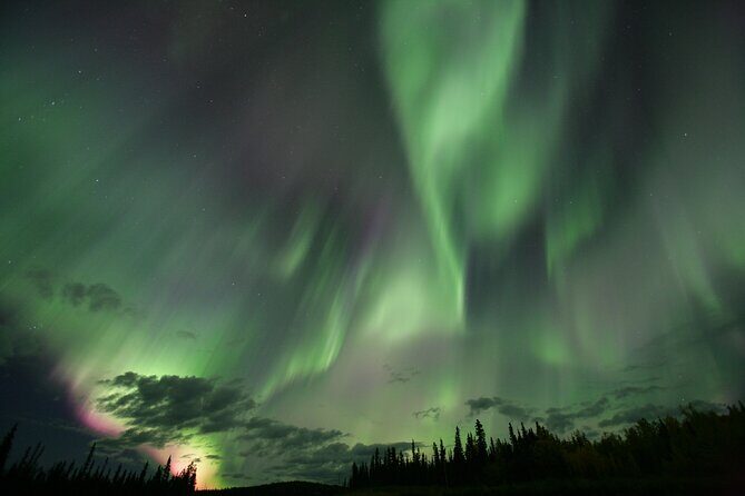 Small Group Yukon Aurora Viewing - Price and Value: Is $134.13 Worth It?