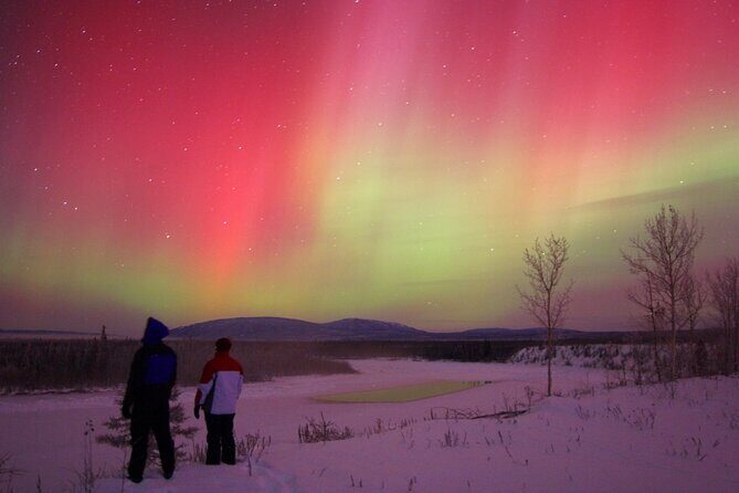 Small Group Yukon Aurora Viewing - Good Fit: Who Should Book This Small-Group Aurora Tour