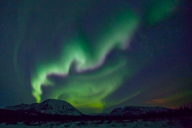 Small Group Yukon Aurora Viewing - On-Site Setup: Snacks, Hot Drinks, and Waiting in the Right Way