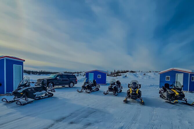 Snowmobile Tour from Yellowknife - Price and Group Size: What Your $137.54 Is Buying