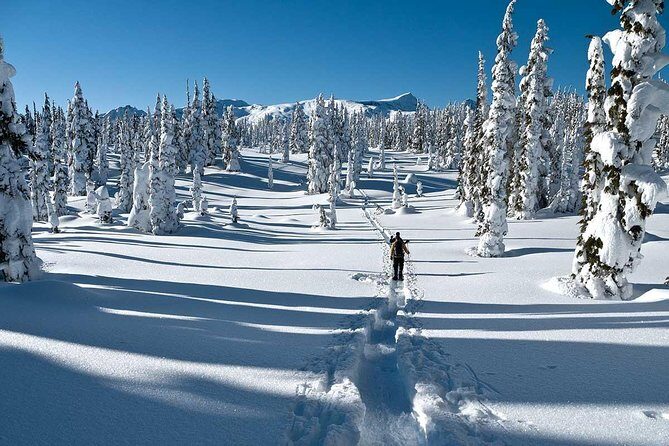 Snowshoe Through Vancouver's Winter Wonderland - Key points to know before you go