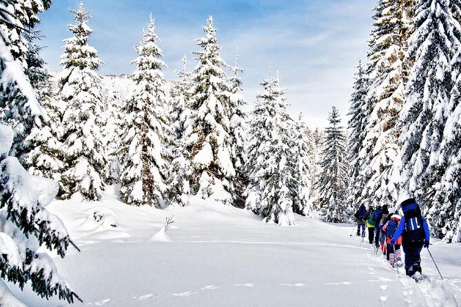 Snowshoe Through Vancouver's Winter Wonderland - Pickup from downtown: smooth start, less stress