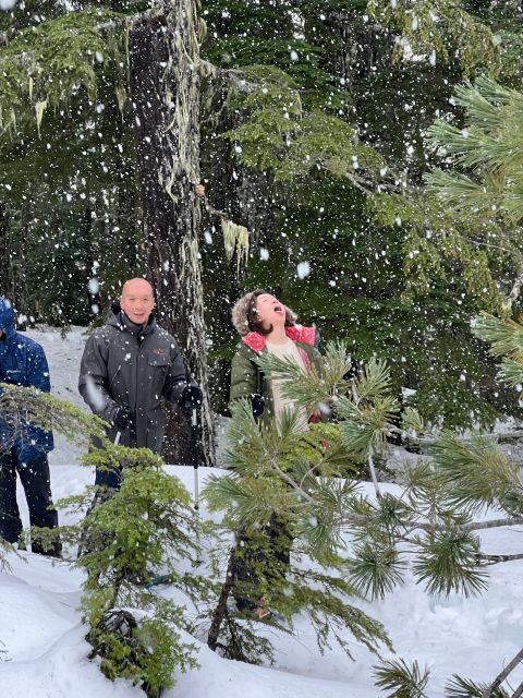 Snowshoeing At The Top Of The Sea To Sky Gondola - Who this tour is for, and who should skip it