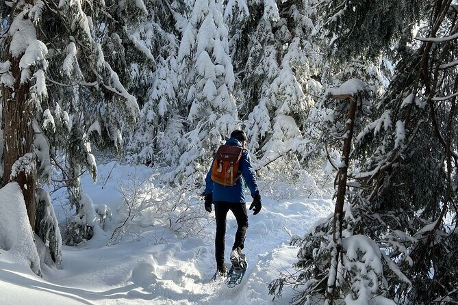 Snowshoeing at The Top of The Sea to Sky Gondola - Value check: is $138.20 worth it?
