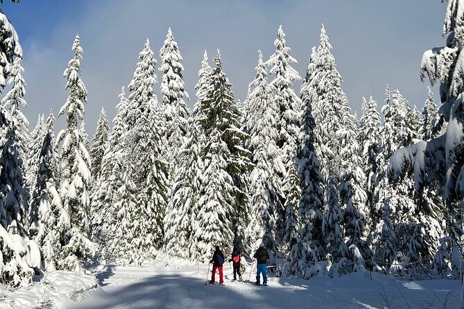 Snowshoeing at The Top of The Sea to Sky Gondola - What makes the guide experience stand out