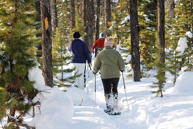 Snowshoeing at The Top of The Sea to Sky Gondola - Who should book this snowshoe adventure?
