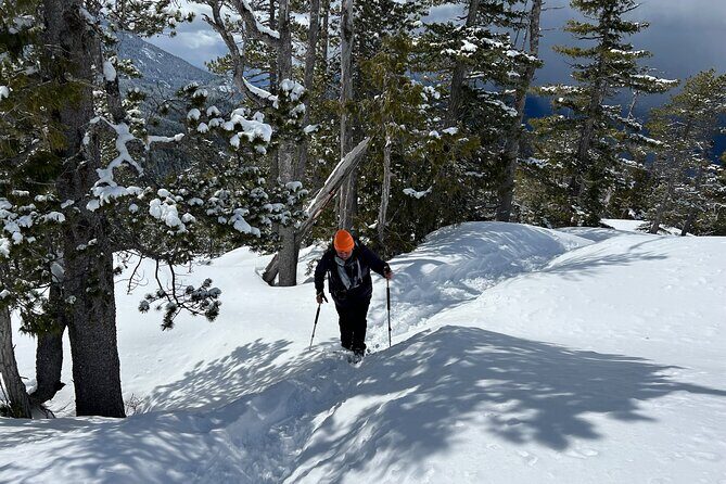 Snowshoeing At The Top Of The Sea To Sky Gondola - Door-to-door pickup along Howe Sound: less hassle, more time