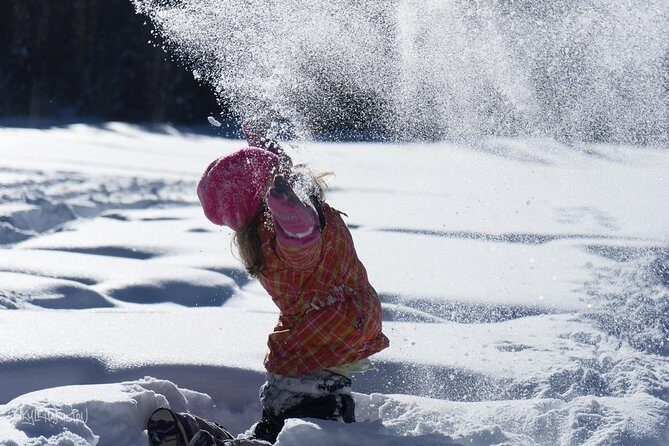 Snowshoeing in Kananaskis - Why Snowshoeing in Kananaskis Feels Different Than Other Winter Walks
