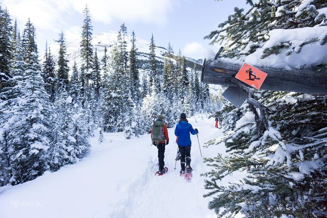 Snowshoeing in Kananaskis - Stop 1, Then Back Again: Why the Simple Itinerary Works