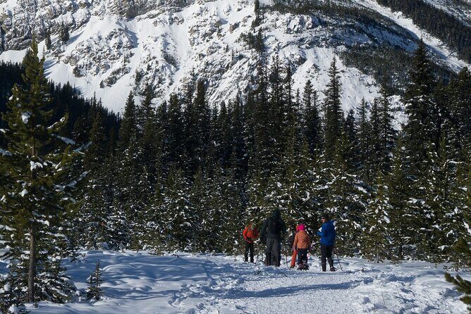 Snowshoeing in Kananaskis - Timing That Fits Your Day: Two Departure Windows