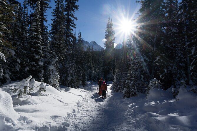Snowshoeing in Kananaskis - Who This Tour Suits Best (and Who Might Want Something Else)