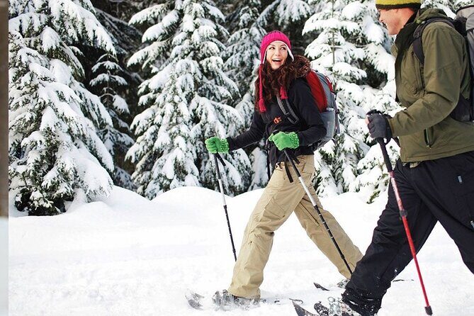 Snowshoeing in Kananaskis - The Walk Across Thick Snowpack: Quiet Forests and Winter Lessons