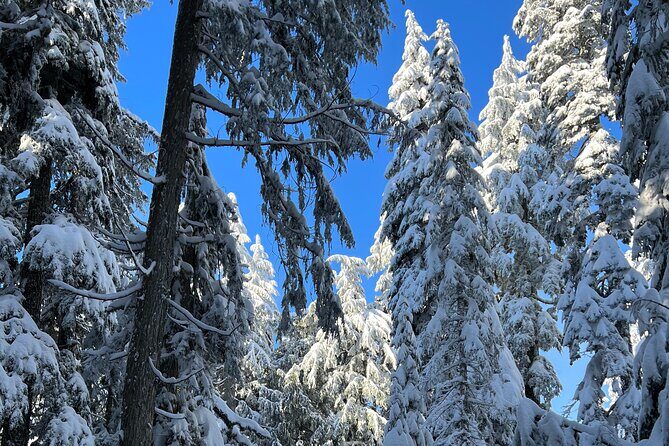 Snowshoeing In Vancouver's Winter Wonderland - Your guide and group size: why max 6 matters