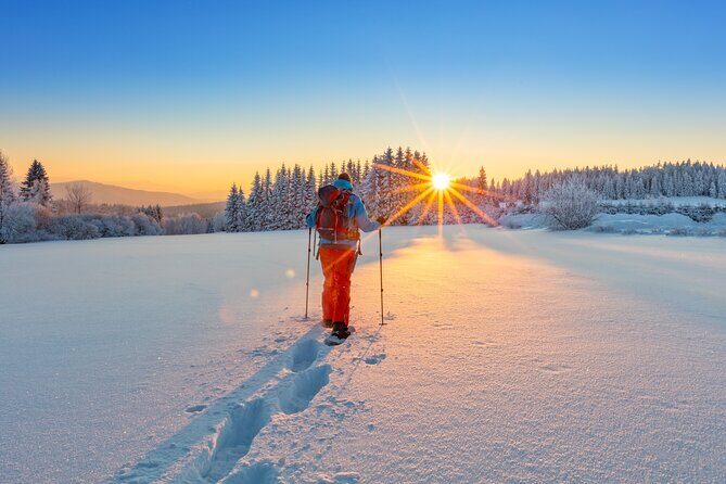 Snowshoeing In Vancouver's Winter Wonderland - How hard is it, really? Timing, effort, and what to expect