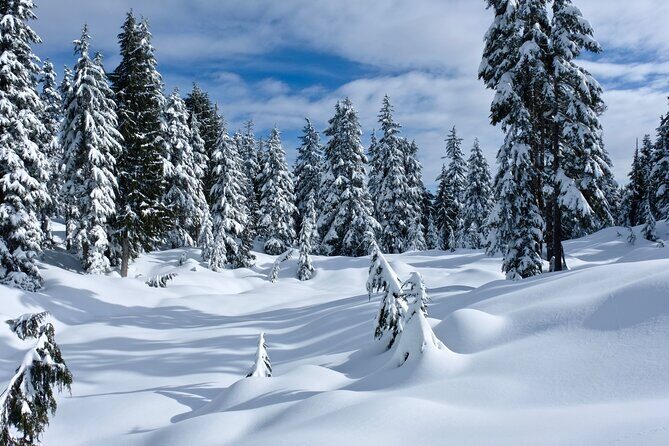 Snowshoeing In Vancouver's Winter Wonderland - Price and value: what $119.72 includes (and what it doesn’t)