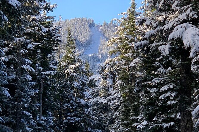 Snowshoeing In Vancouver's Winter Wonderland - Weather and flexibility: keeping the day on track