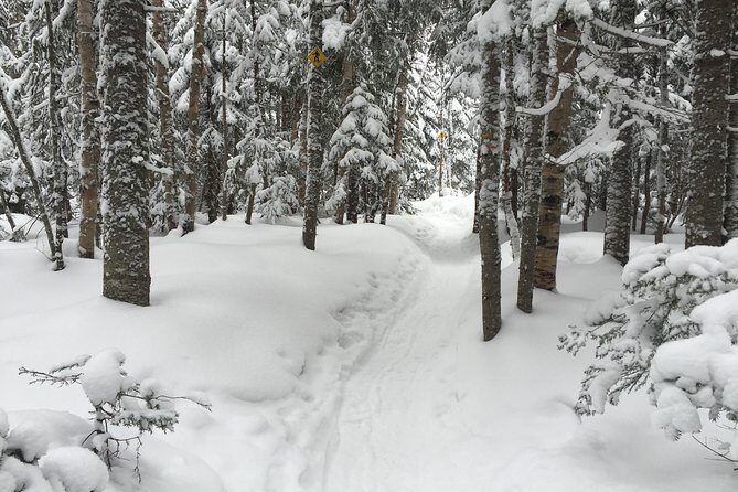 Snowshoeing Tour in Jacques-Cartier National Park - How the day starts: 9am pickup and a smooth ride into winter