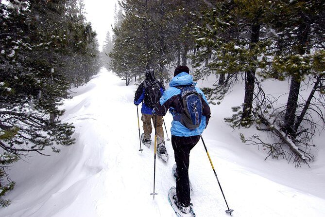 Snowshoeing Tour in Jacques-Cartier National Park - Getting your snowshoes on without a learning curve