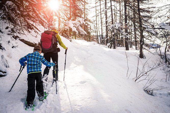 Snowshoeing Tour in Jacques-Cartier National Park - The hike in Jacques-Cartier National Park: pace, photo stops, and real winter effort